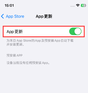 陈巴尔虎苹果15维修中心如何让iPhone15APP自动更新