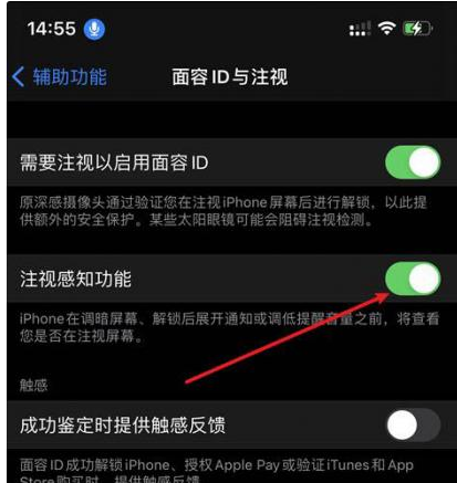 陈巴尔虎苹果14维修网点分享iPhone14注视感知功能有什么用 